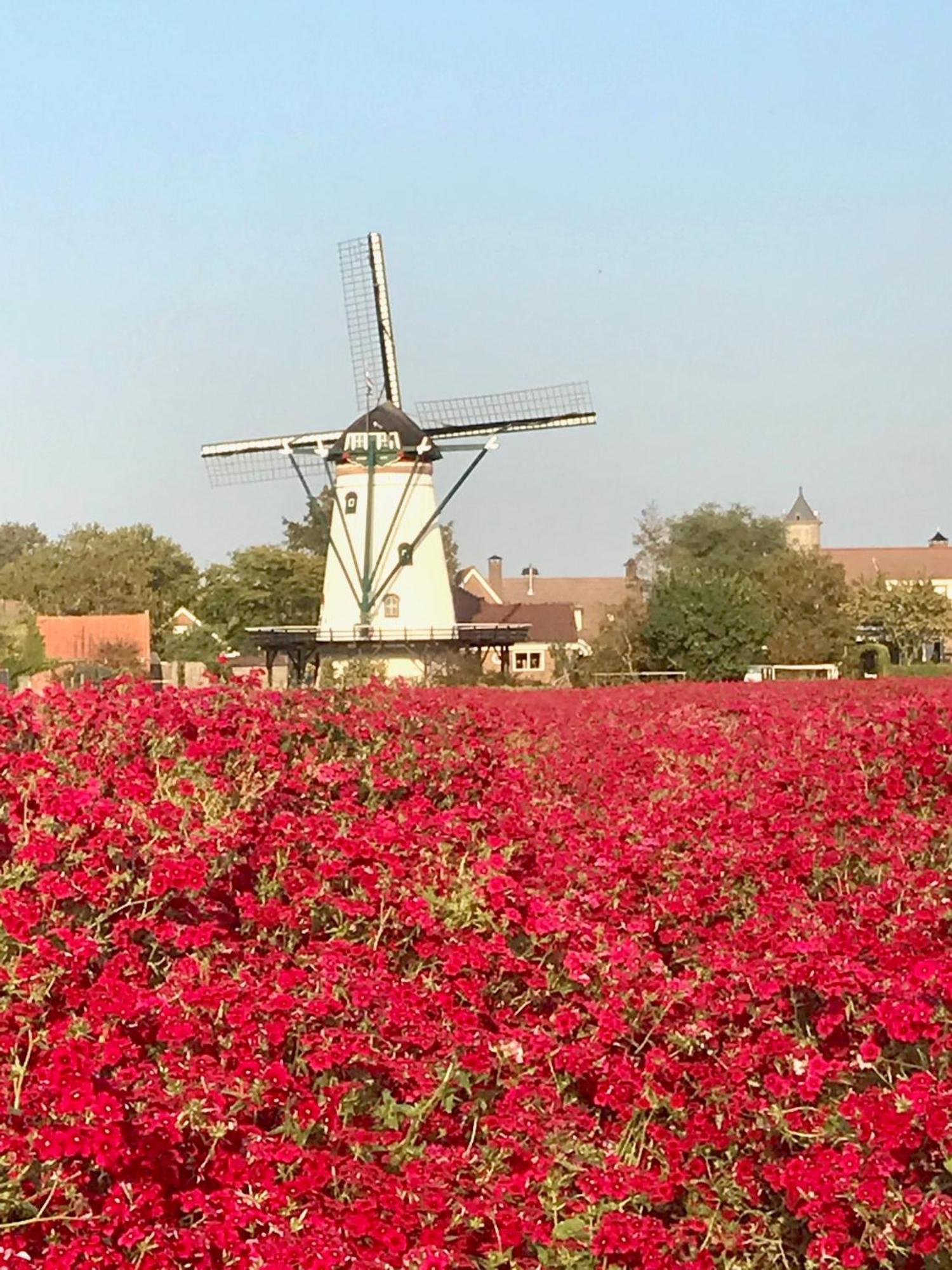 Scherpenisse Oosterschelde Lodge Met Veel Privacy En Dicht Bij Het Water מראה חיצוני תמונה